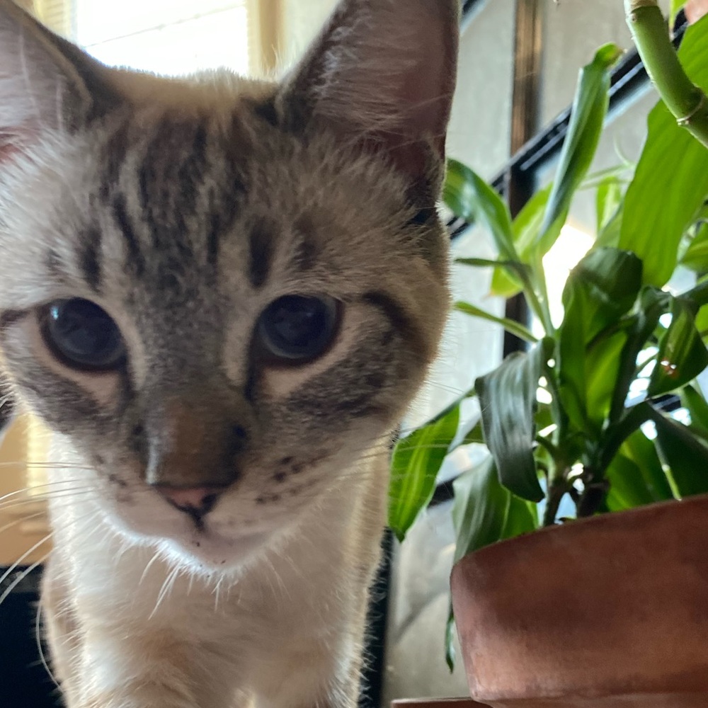 Meet your Posher, Lena